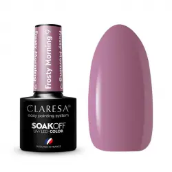 Claresa - Esmalte semipermanente Soak off - 09: Frosty Morning