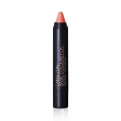 Camaleon Cosmetics Camaleón Cosmetics Basic Colourstick Basic, 4 gr