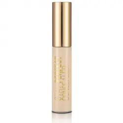 Stay Perfect Corrector