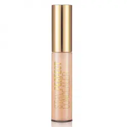 Stay Perfect Corrector