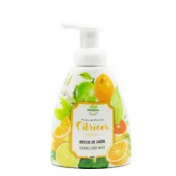 Becasan Nature Becasan Nature Espuma de Jabón Cítricos, 500 ml