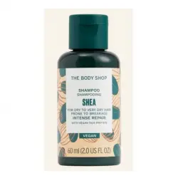 Shampoo Shea 60Ml