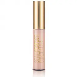 Stay Perfect Corrector