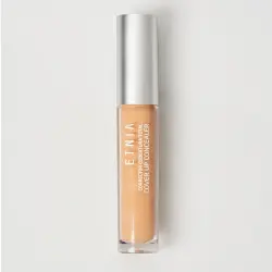 Cover Up Concealer N4