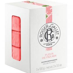 Roger&Gallet - Jabón Fleur Fig Savon 3X100 G