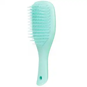 Tangle Teezer Mini Wet Detangler Sea Green, 1 un