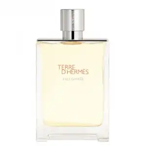 Terre d'Hermès Eau Givrée Eau de Parfum 200 ml