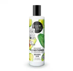 Repair Conditioner