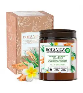 Air Wick - *BOTANICA by Air Wick* - Vela de cera de origen natural 500g - Vetiver Caribeño