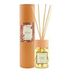 Ambientair Ambientar Special Edition Mikado Cinnamonapple, 100 ml