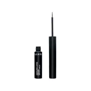 Liquid Long-Lasting Eyeliner With Hard Brush 401