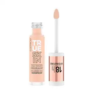 True Skin High Cover Concealer 010 Cool Cashmere