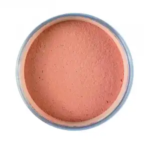 Base de Maquillaje en Polvo Mineral Powder Foundation