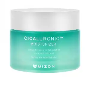 Cicaluronic moisturizer 120 ml