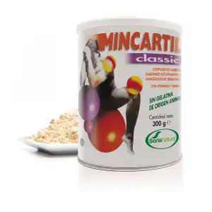 Mincartil Clasic Bote 300 Gr