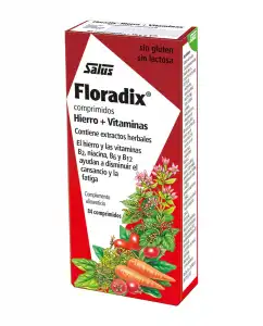 Floradix - 84 Comprimidos De Hierro + Vitaminas