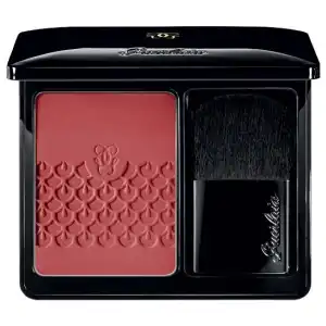 Rose Aux Joues Blush 02 Chic Pink