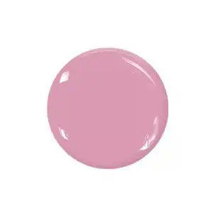 Le Mini Macaron Le Mini Macaron Gel Polish  Rose Antique, 46 gr