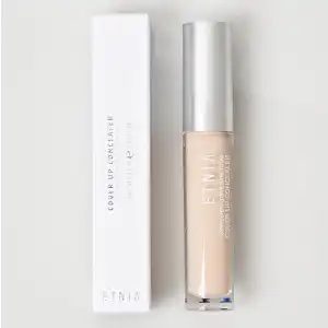 Cover Up Concealer N2