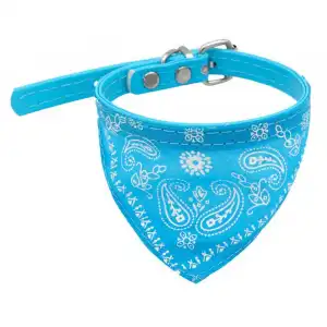 Collar Bandana Azul